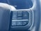 2024 Ford F-150 Lightning Flash