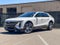 2024 Cadillac LYRIQ Luxury 1