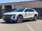 2024 Cadillac LYRIQ Luxury 1